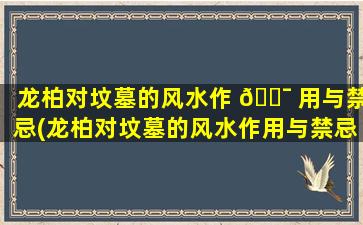 龙柏对坟墓的风水作 🐯 用与禁忌(龙柏对坟墓的风水作用与禁忌有哪些)